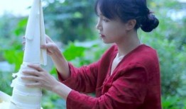 李子柒最新消息爆料,揭秘田园生活背后的故事